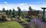 230 Diamond Peak Avenue - Photo 48