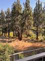 20087 Beaver Lane - Photo 39