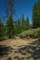 2541 Sterling Creek Road - Photo 16