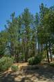 2541 Sterling Creek Road - Photo 17