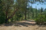 2541 Sterling Creek Road - Photo 19