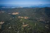 2541 Sterling Creek Road - Photo 3