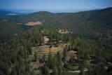 2541 Sterling Creek Road - Photo 6