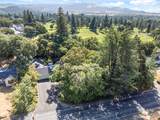 91 Black Oak Drive - Photo 46