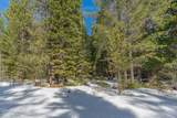  Royce Pine Road - Photo 11