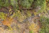 108 Baldy Creek Road - Photo 17