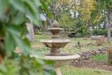 21925 Bear Creek Road - Photo 91