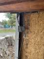 1520 Derby Street - Photo 28