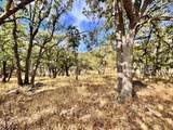 271 Cove Road - Photo 9