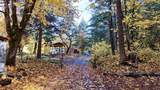 52 Dodes Creek Road - Photo 15
