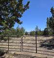 20102 Osprey Road - Photo 2
