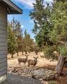 10064 Juniper Glen Circle - Photo 47