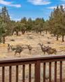 10064 Juniper Glen Circle - Photo 48