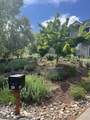 324 Mountain View Boulevard - Photo 59