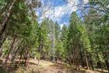 827 Tyler Creek Road - Photo 31