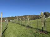 6015 Dark Hollow Road - Photo 85