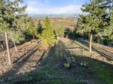 70 Vineyard View Circle - Photo 25