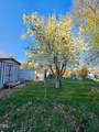 220 Schoolhouse Road - Photo 31