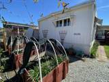 8401 Old Stage Road - Photo 6