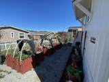 8401 Old Stage Road - Photo 8