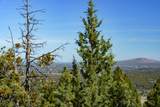 1600 Overlook Drive - Photo 5
