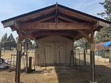 12916 Wheat Grass Road - Photo 26