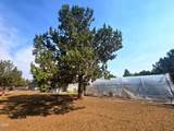 12916 Wheat Grass Road - Photo 29