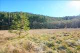 5000 Thompson Creek Road - Photo 9