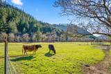 18781 Evans Creek Road - Photo 14