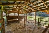 18781 Evans Creek Road - Photo 70