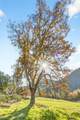 13688 Highway 238 - Photo 7