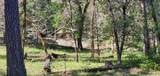 11238 Evans Creek Road - Photo 20