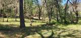 11238 Evans Creek Road - Photo 21