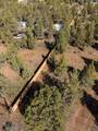 3491 Umatilla Loop - Photo 5