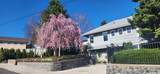 525 Mesa Street - Photo 50