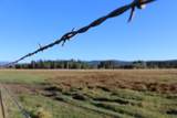 12046 Old Fort Road - Photo 16