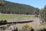 12046 Old Fort Road - Photo 23