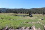 12046 Old Fort Road - Photo 35