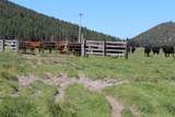 12046 Old Fort Road - Photo 41
