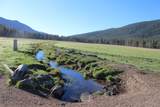 12046 Old Fort Road - Photo 44