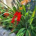 69592 Lake Drive - Photo 42