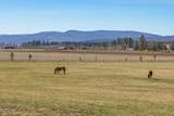 11010 Yonna Loop Drive - Photo 34
