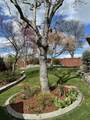 374 Leandra Lane - Photo 32