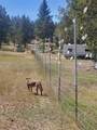 17703 Fishhole Creek - Photo 19