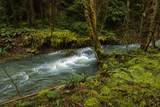 509 Marble Mountain Road - Photo 4