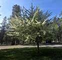 53156 Day Road - Photo 7