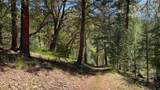 5225 Sterling Creek Road - Photo 147