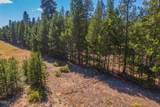 147135 Bills Road - Photo 43