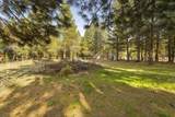 14355 Fern Dell Loop - Photo 38