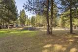 14355 Fern Dell Loop - Photo 39